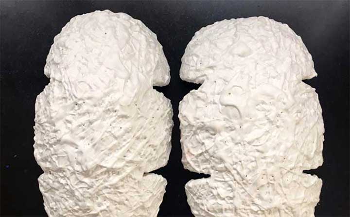 Twins 45, painting by Nicola Guerraz